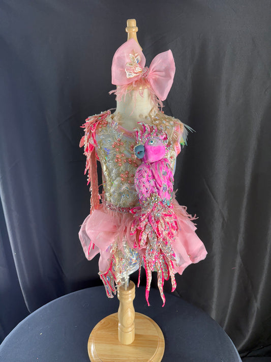 2/4-3/5 Buffett the Parrott