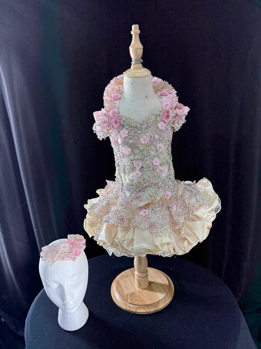 2/4-3/5 Duchess Amanda Gemics