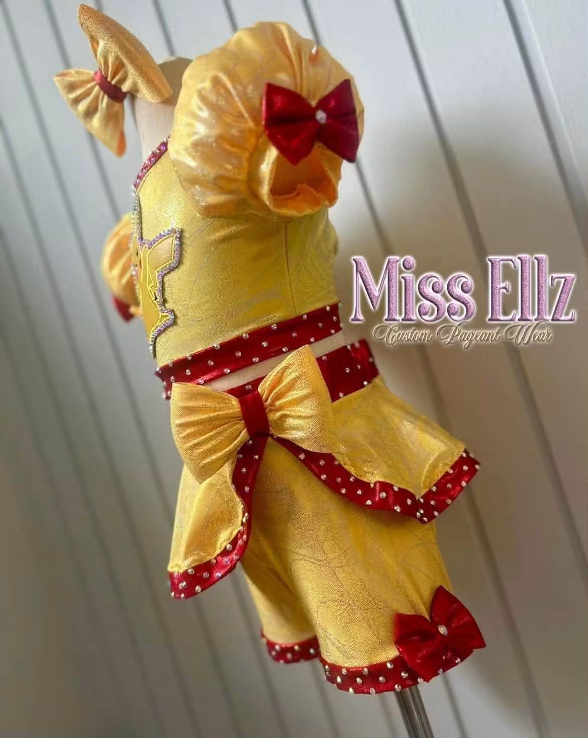 5/7 Pikachu/Pokemon OOC by Miss Ellz